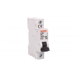 Circuit breaker 1P B 10A 10kA P1MB1PB10