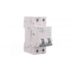 Circuit breaker 2P B 10A 6kA AC 5SL6210-6