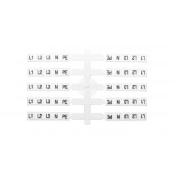 1131-741AA-IT021